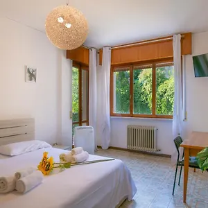  Homestay Olga's